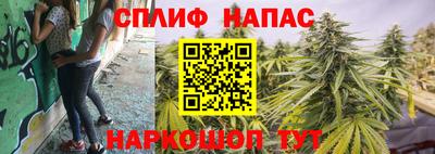 гидропоника Кинель