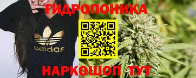 мет Кимры