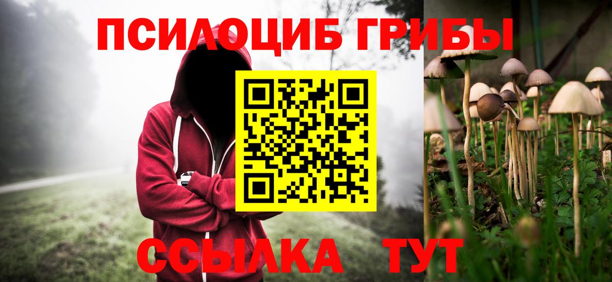 Псилоцибиновые грибы MAGIC MUSHROOMS  Вход с VPN  Коряжма 