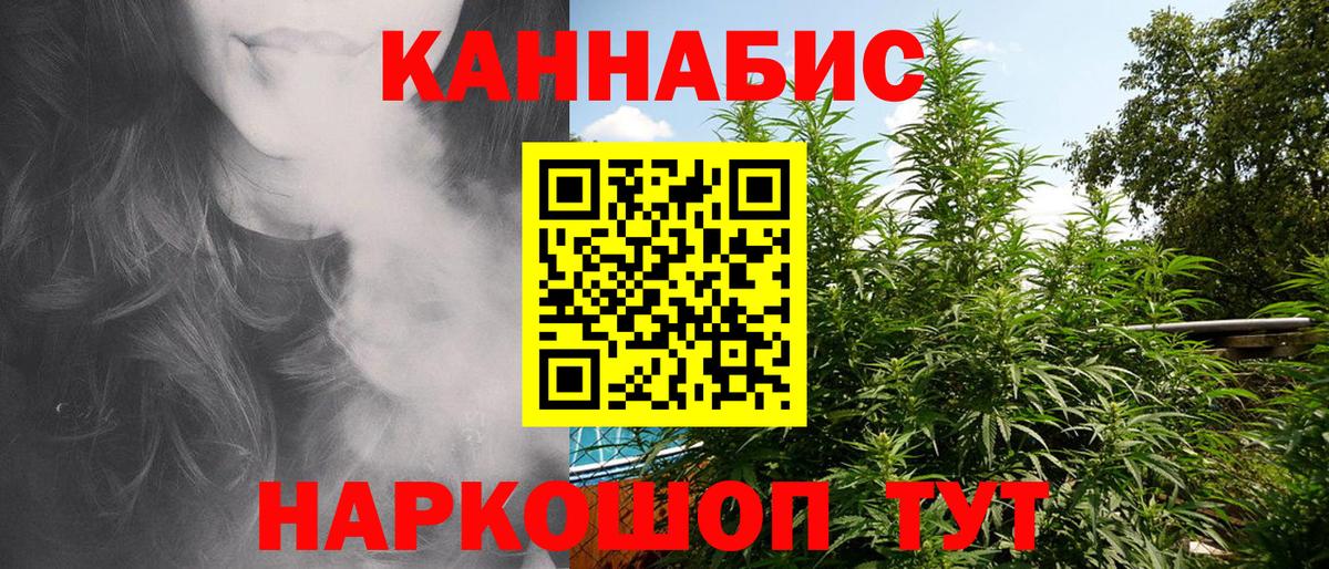 МАРИХУАНА конопля Коряжма